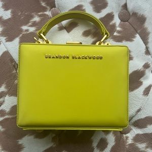 Brandon Blackwood Mini Nylon Kendrick Trunk in Yellow/Green